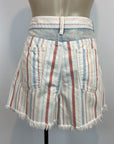 American Eagle Shorts - 14/16